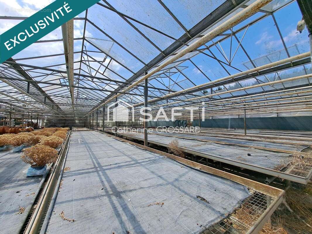 Photo 4 - Maison à LA GORGUE