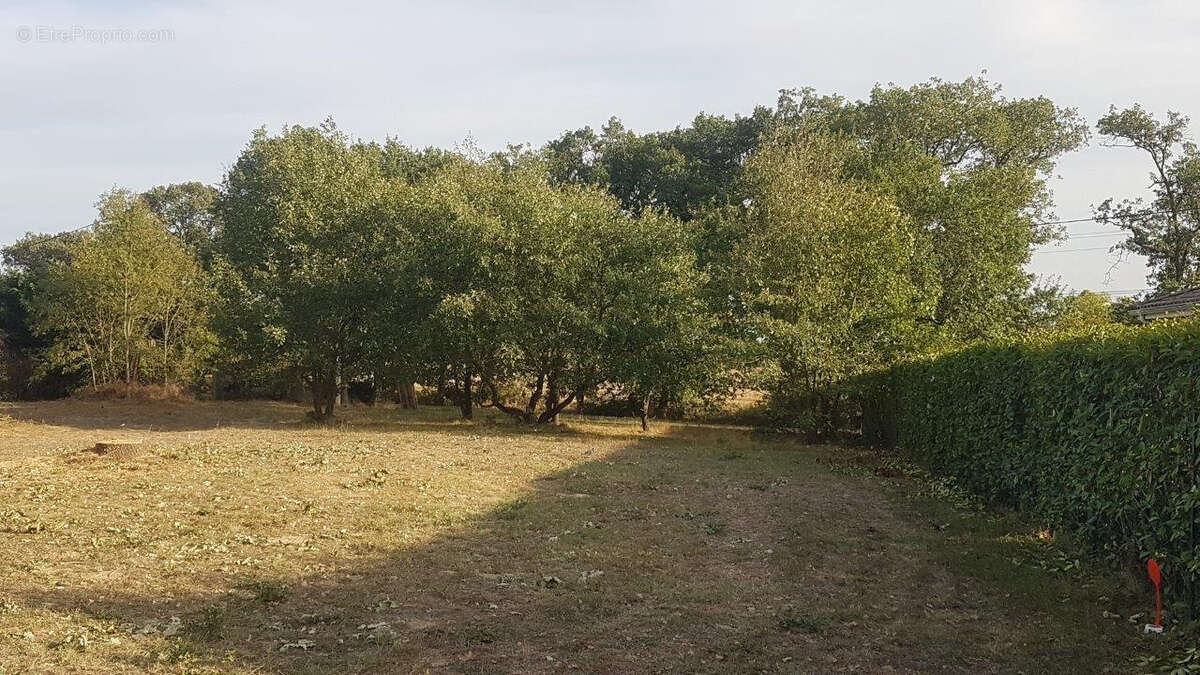 Terrain à PLAISANCE-DU-TOUCH