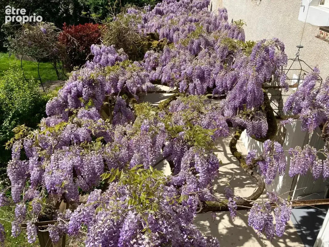 Magnifique propriété avec accès direct à la Vézère - photo 15