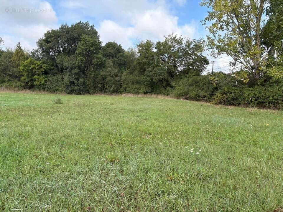 Terrain à SAINT-SULPICE