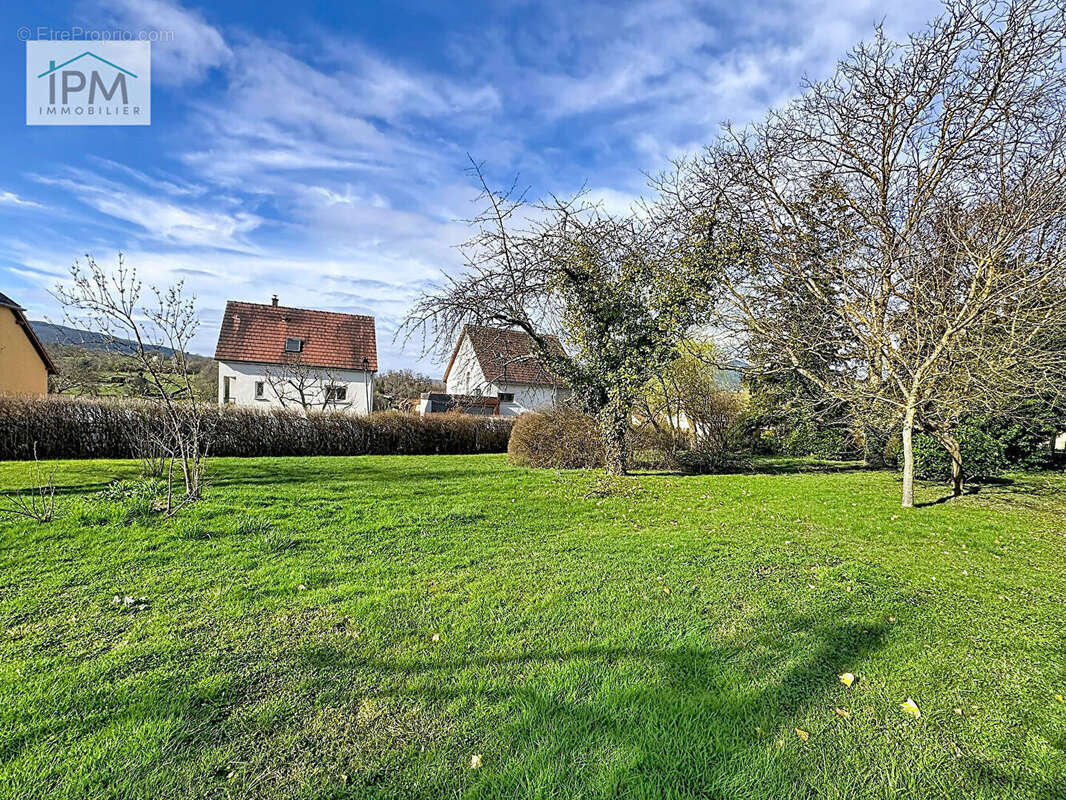 Terrain à NIEDERHASLACH