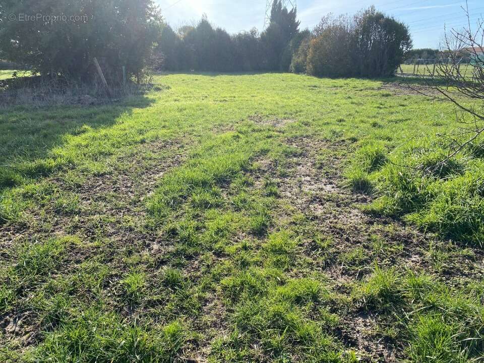 Terrain 580 m² à Rochefort  - photo 2