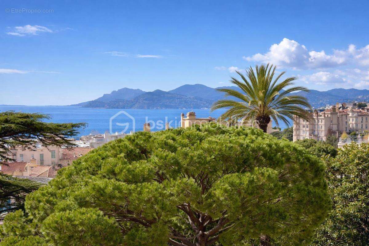 Cannes stanislas - appartement 2 pieces 61m² - vue mer panoramique - 5 min centre ville - photo 3