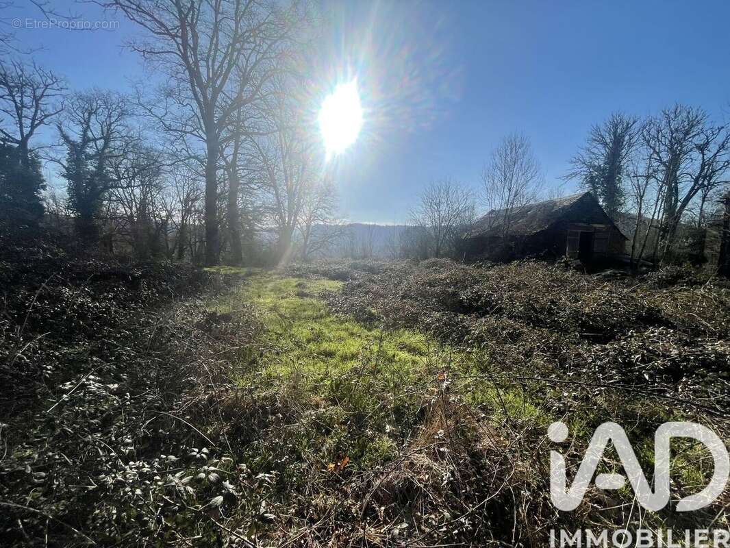 Photo 2 - Terrain à LA CAPELLE-BONANCE