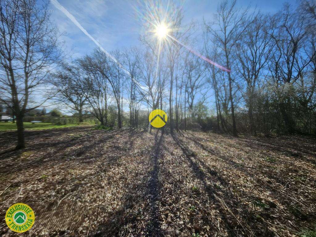 Terrain à LA GUERCHE-SUR-L'AUBOIS