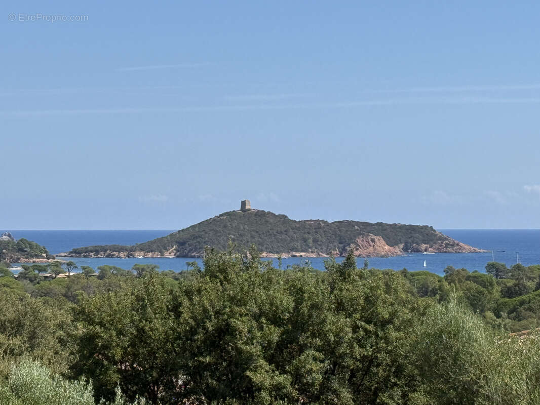 -Superbe villa avec vue Mer à Porto-Vecchio ! - photo 2