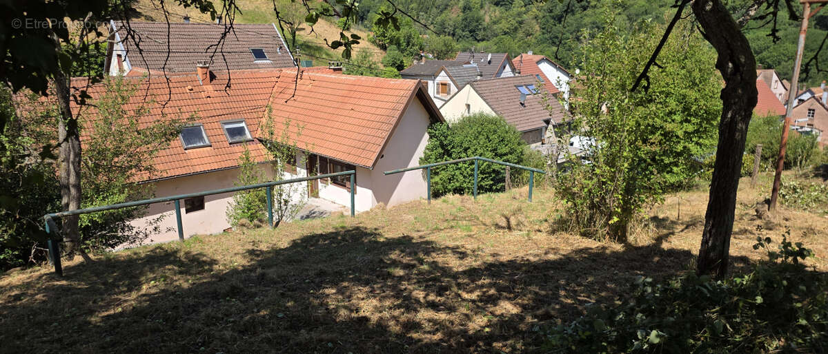 Rothau, grande maison individuelle avec logement indépendant, 12.76 ares. - photo 36