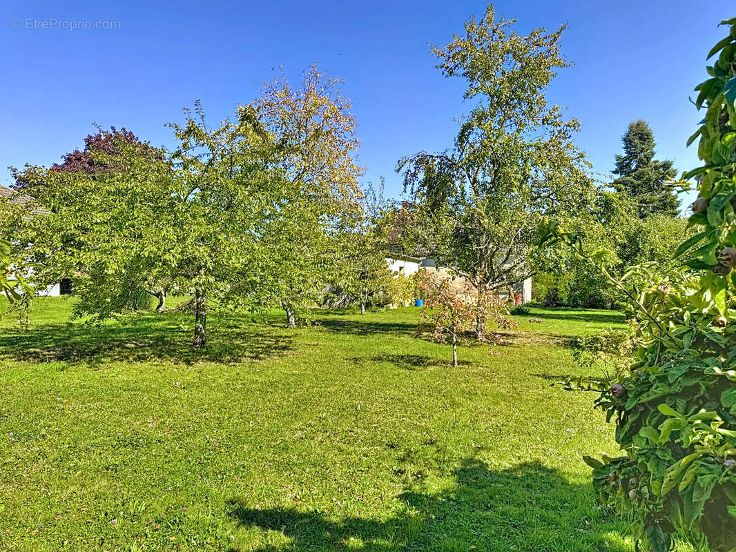 Maison à MONTMIRAIL