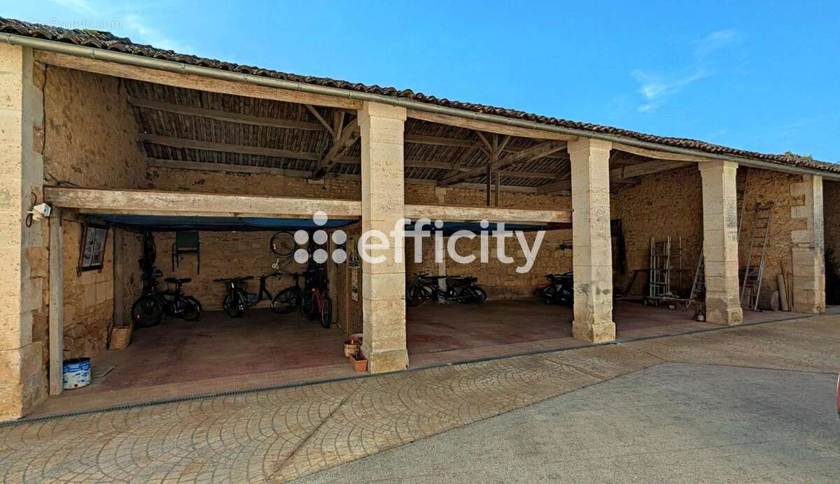 Maison 355 m² à Asnieres-Sur-Nouere  - photo 20