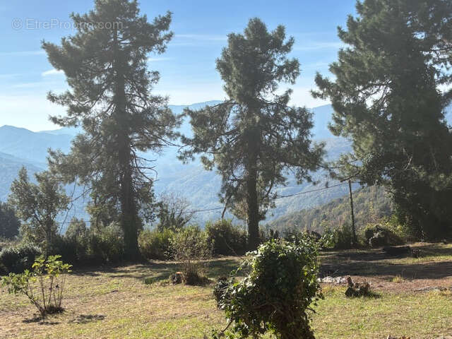 Maison 3 pièces à vendre à Piano (Haute Corse) — 83,25 m2 sur terrain de 2 230 m2 - photo 18