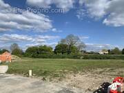 Terrain à LOIRE-LES-MARAIS