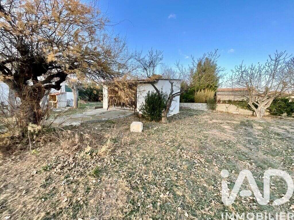 Photo 3 - Maison à MARSEILLAN