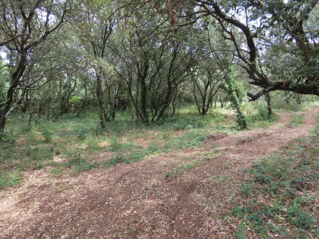 Photo Garrigue d\&#039;Uzès 6 - Terrain à UZES