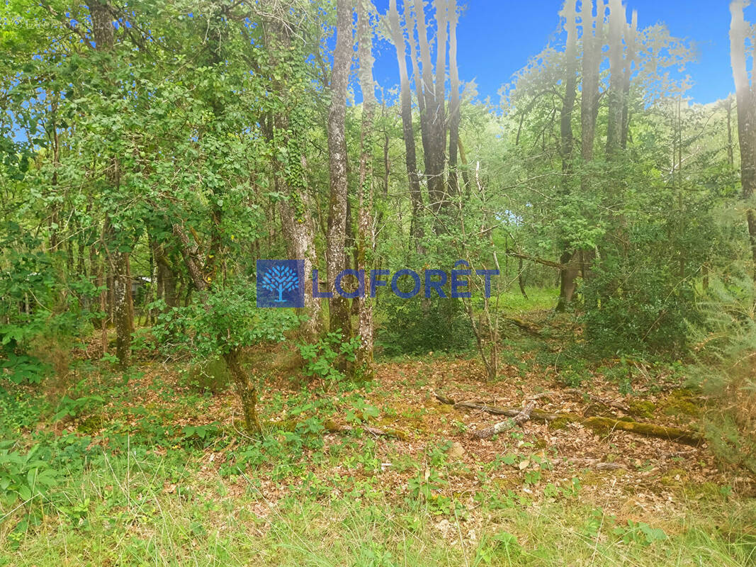 Terrain à LANGEAIS