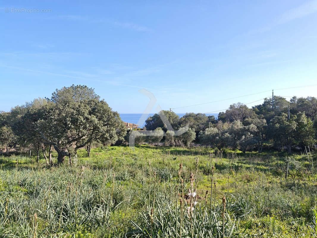 Maison à ZONZA