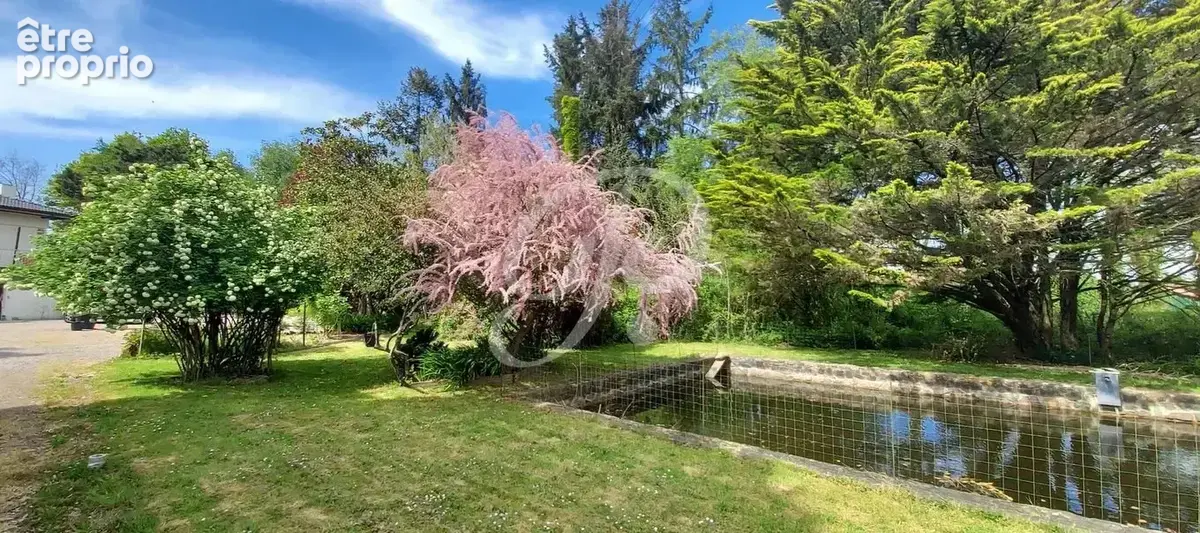 Grande Maison avec 13500m2 de terrain - photo 4