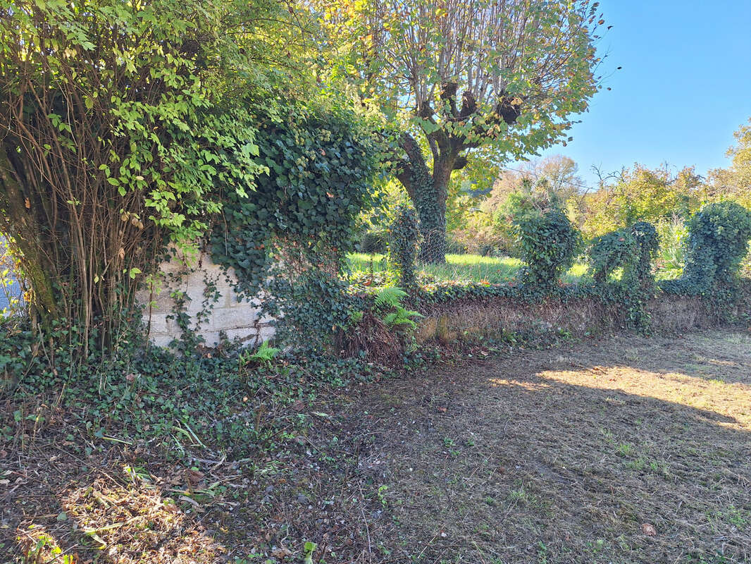 Maison à GRAND-BRASSAC