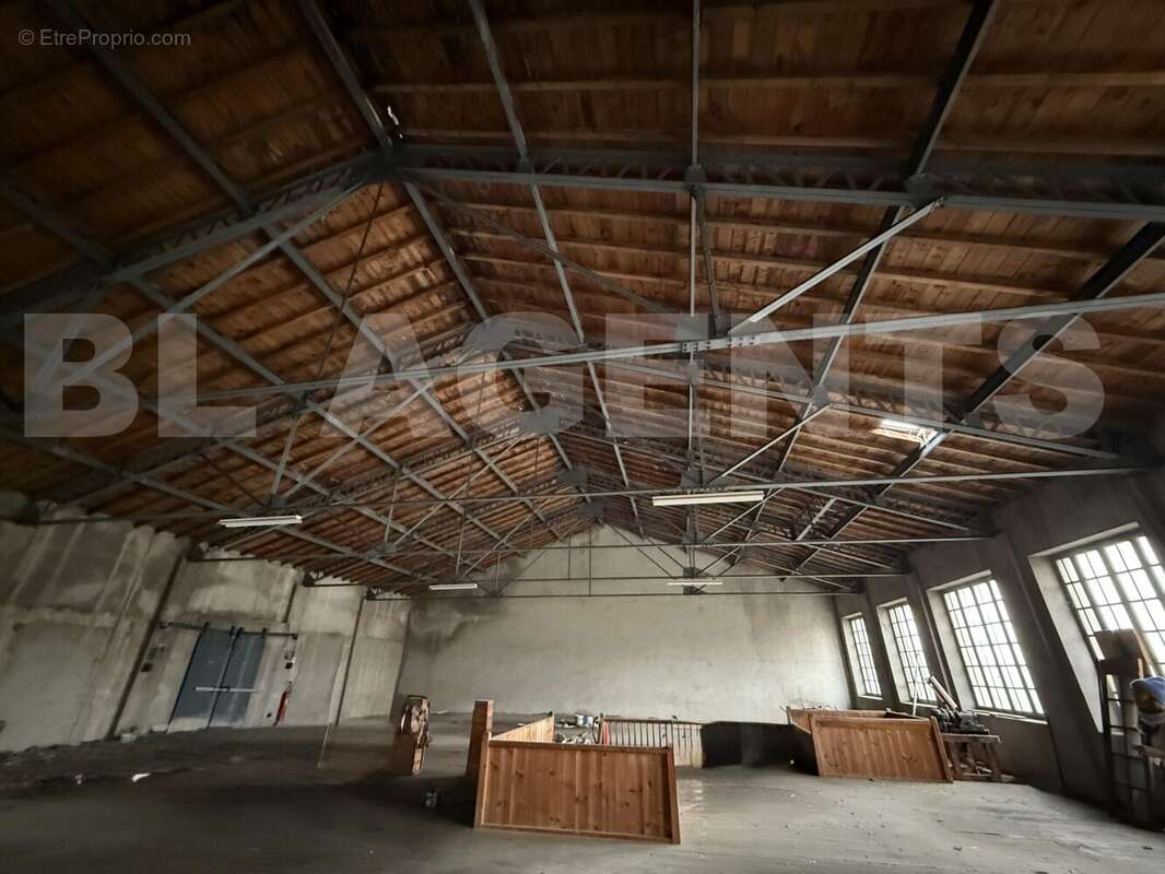 IMG_4702 - Appartement à MAZAMET