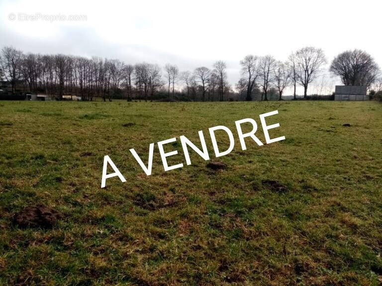 Terrain à MALGUENAC