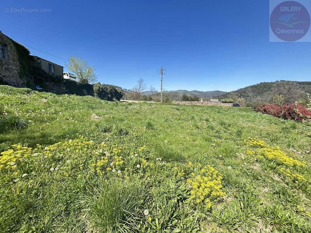 Terrain à SAINT-PAUL-LA-COSTE