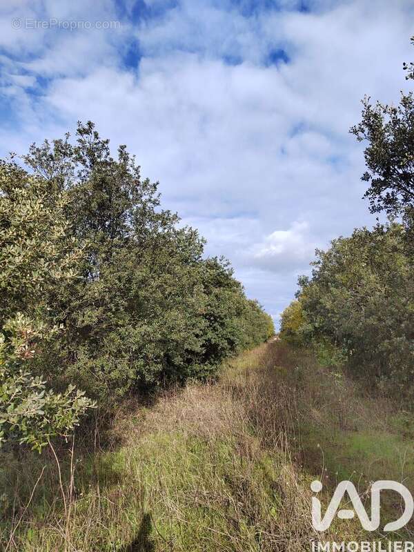 Photo 2 - Terrain à CAIRANNE