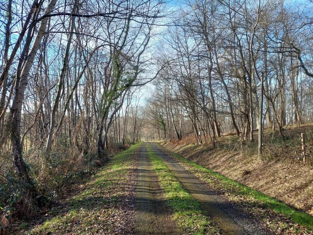 Maison à DAUMAZAN-SUR-ARIZE