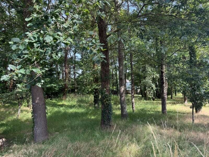 Dpt Maine et Loire (49), à vendre BAUGE terrain - photo 2