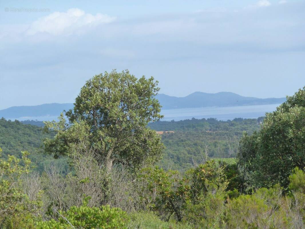 Terrain à LA LONDE-LES-MAURES