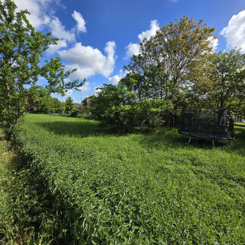Terrain à TANTONVILLE
