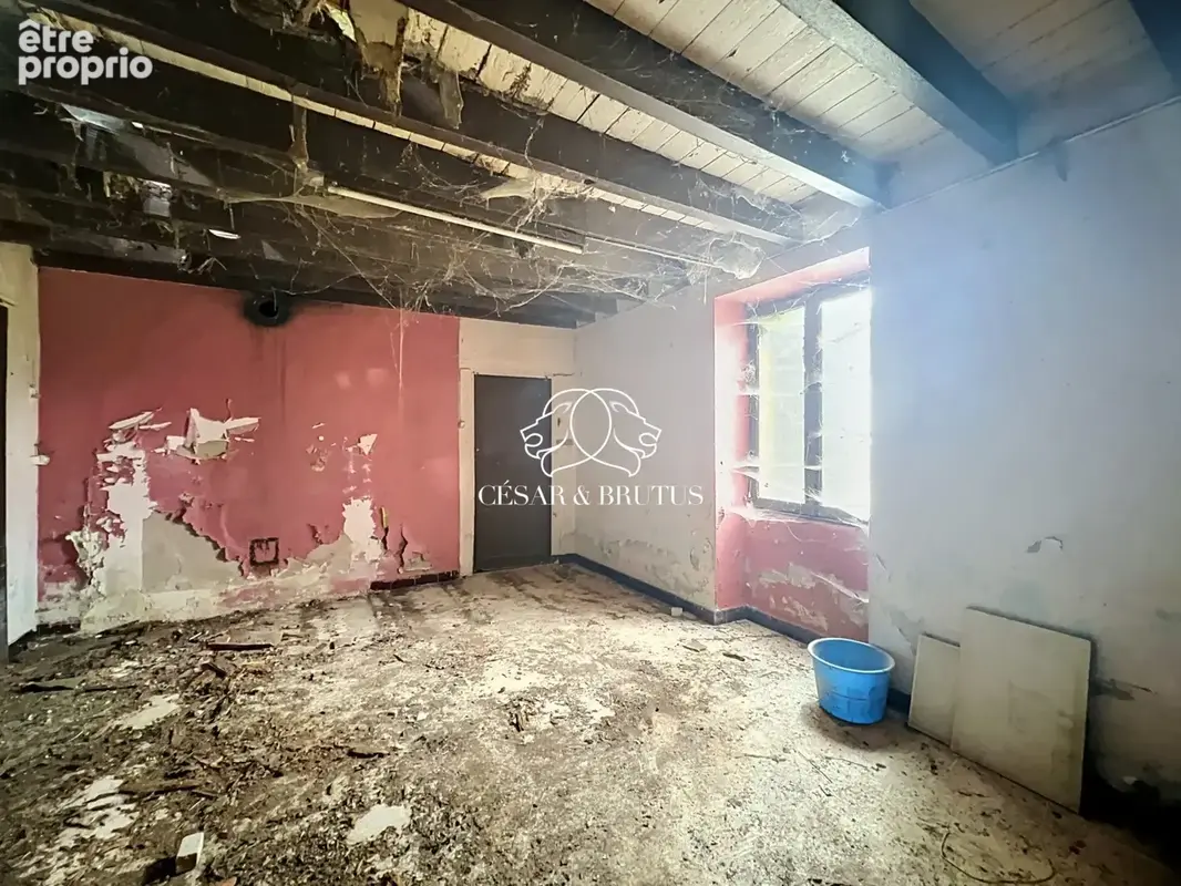 Maison 750 m² à Saint-Jean-Saint-Maurice-Sur-Loire  - photo 7
