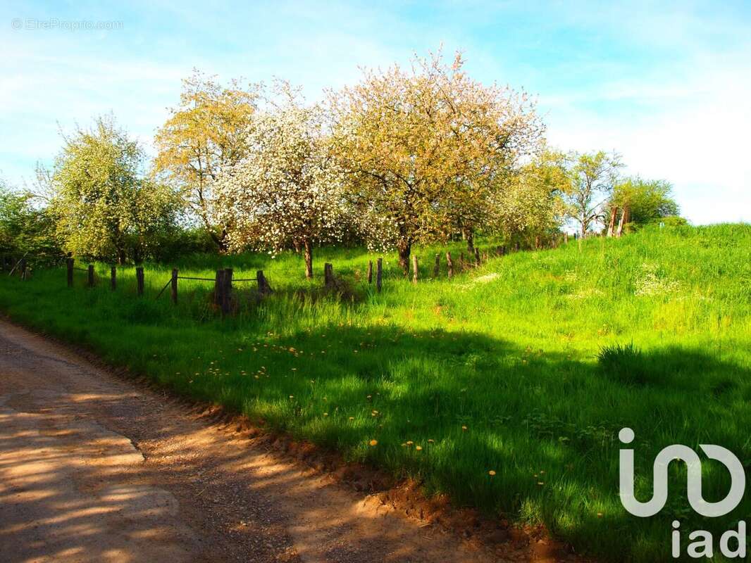 Photo 3 - Maison à SENONCOURT