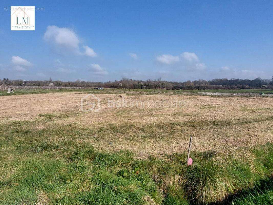 Terrain à SAINT-CHRISTOLY-DE-BLAYE
