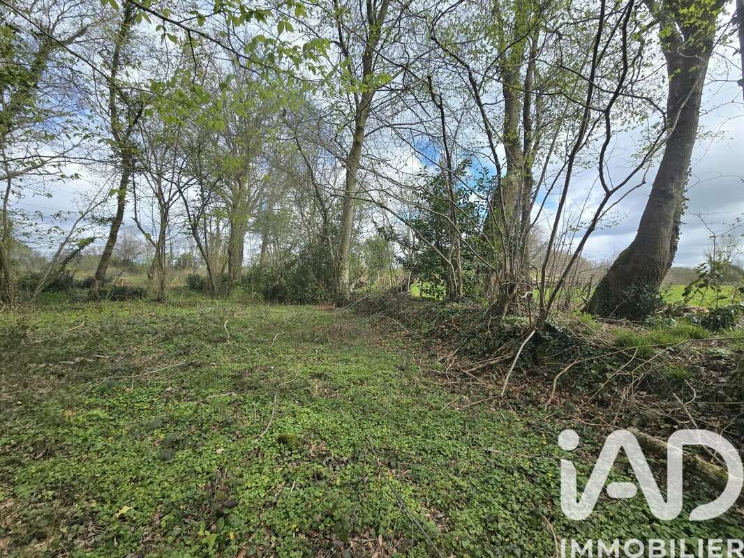 Terrain 4454 m² à Le Theil-En-Auge  - photo 3