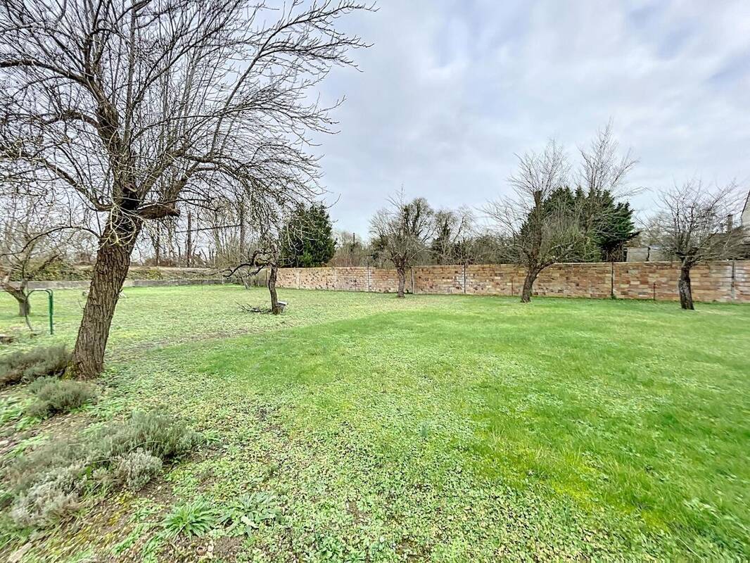 Photo 1 - Terrain à CHAMPIGNY