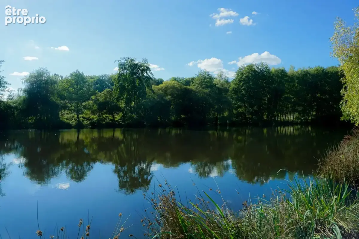 Domaine de 36 hectares avec sa charmante gentilhommière du XVIIe siècle, nichée au coeur du parc naturel du Périgord vert. - photo 15