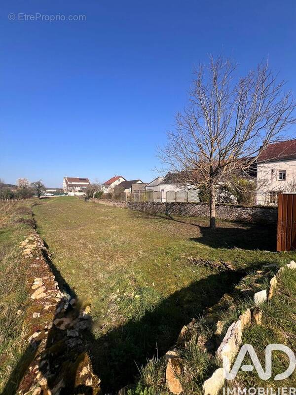 Photo 1 - Terrain à COUCHEY