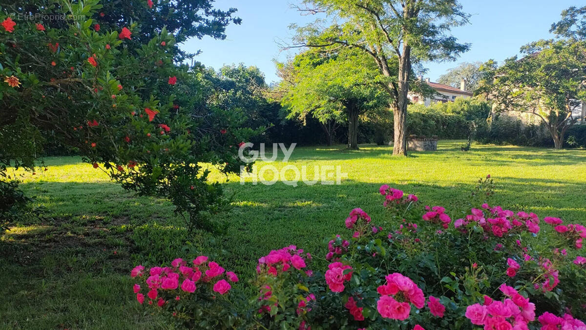 Terrain à BEAUZELLE