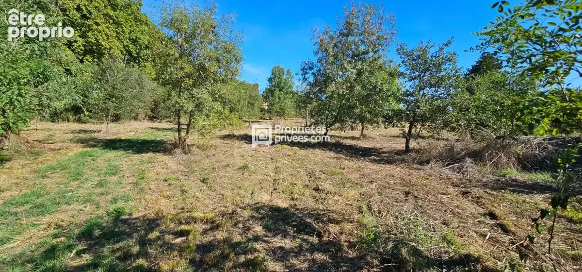 Terrains agricoles à  Elne  d'une superficie totale de 29 154 m2 - photo 6