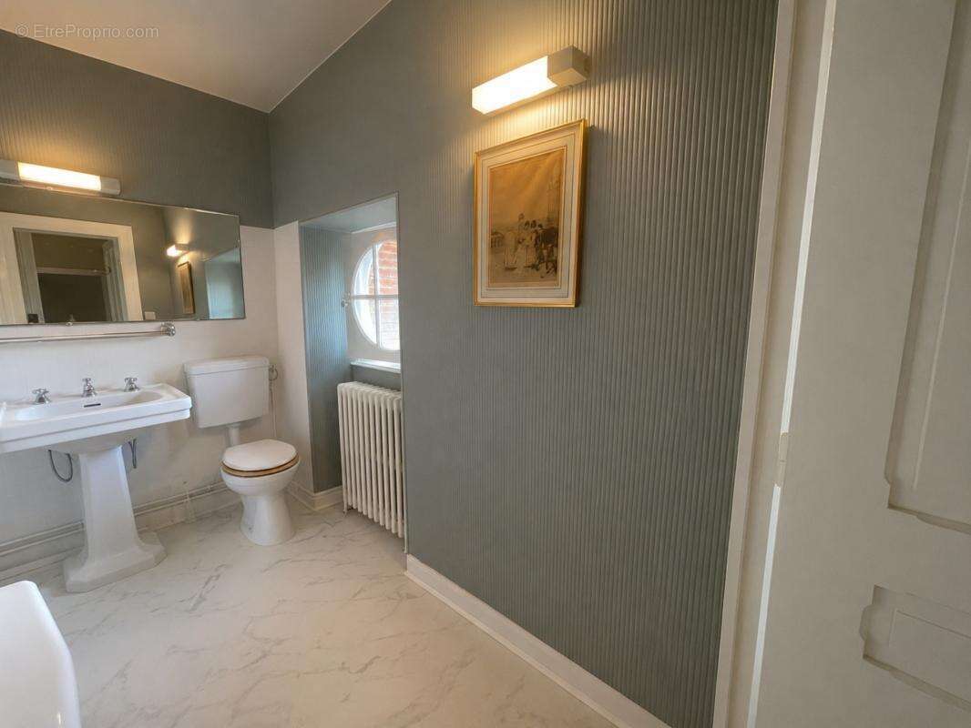 Très Belle maison de caractère  dans parc de 26900 m2 - photo 26