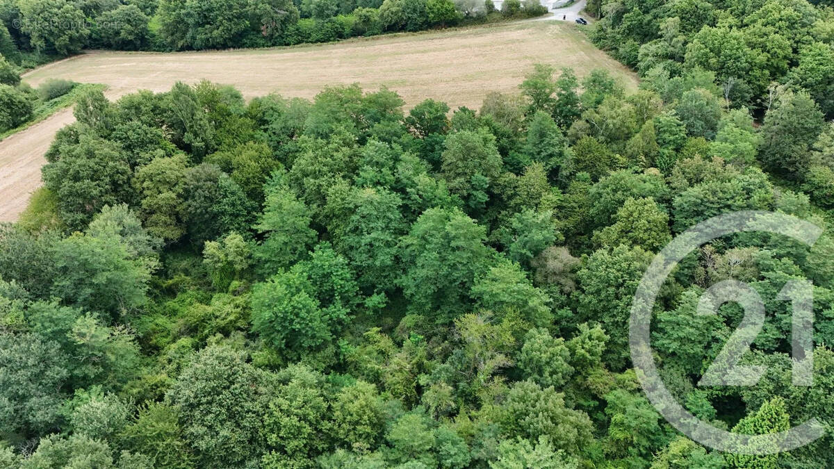 Terrain à SALIES-DE-BEARN