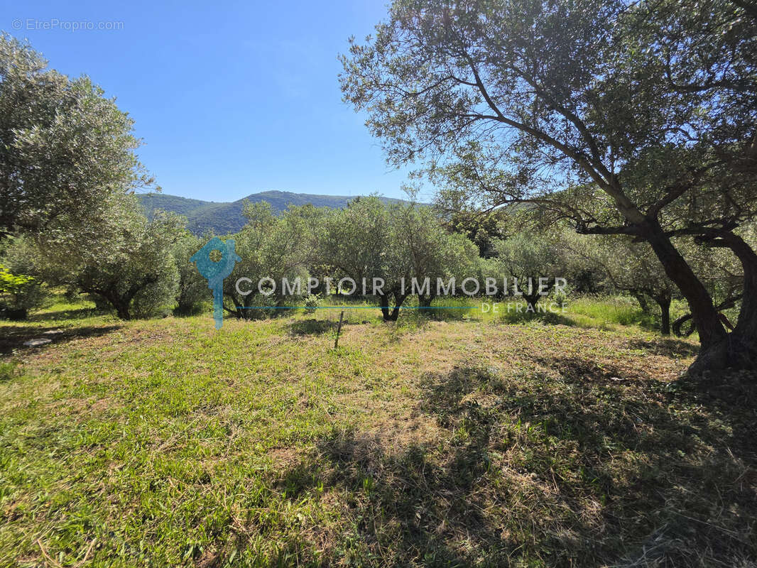 Dépt Hérault (34) - Olmet et Villecun - À vendre - Maison T4/T5 d'environ 120m2, parcelle de 2965m2, terrasse, - photo 5