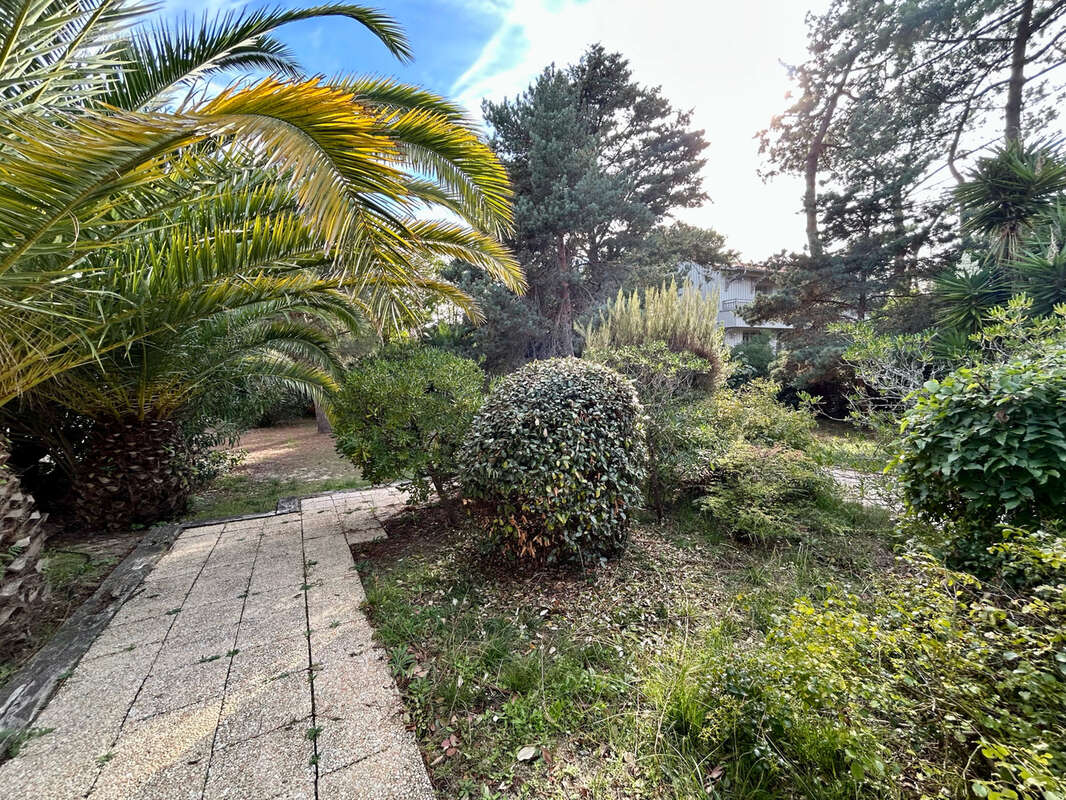 Appartement à LEGE-CAP-FERRET