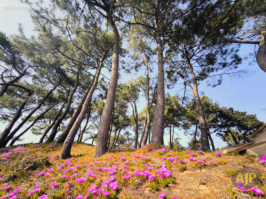 Maison à SAINT-BREVIN-LES-PINS