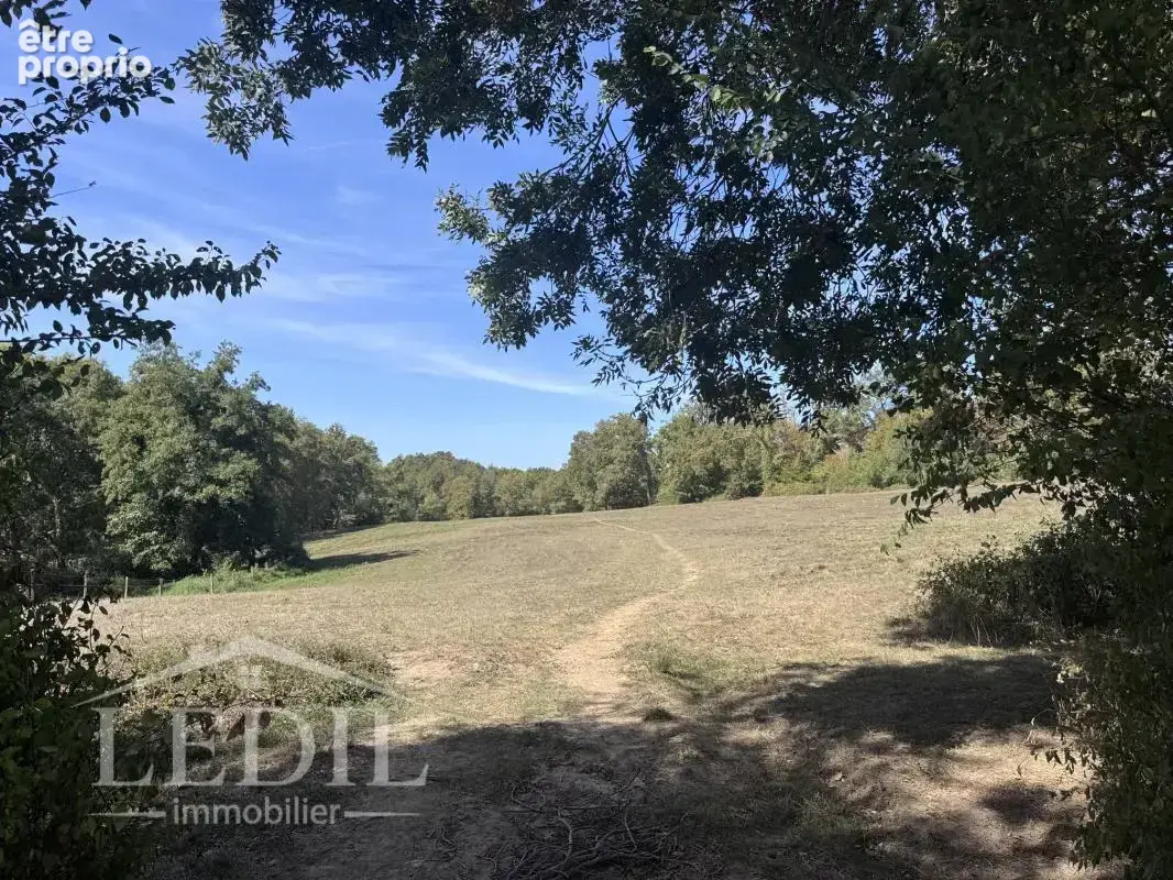 Chartreuse historique, lac privé et 16 hectares - photo 10