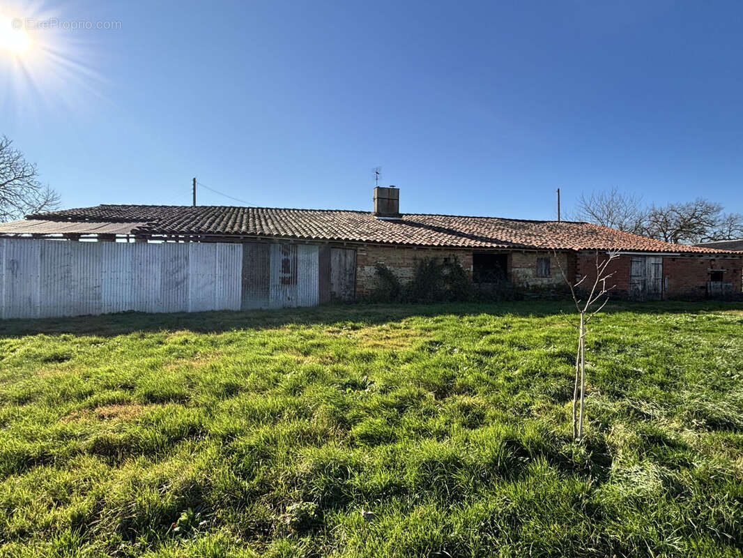 Photo 6 - Maison à VERFEIL