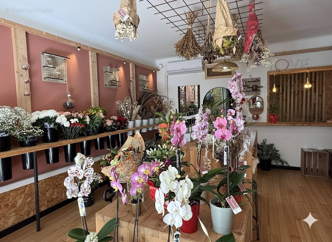 Commerce à GRUISSAN