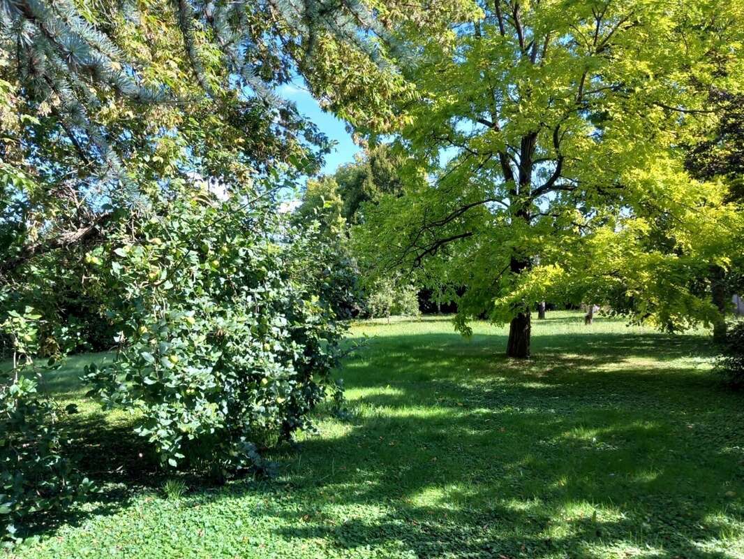 Maison à PONT-SUR-YONNE