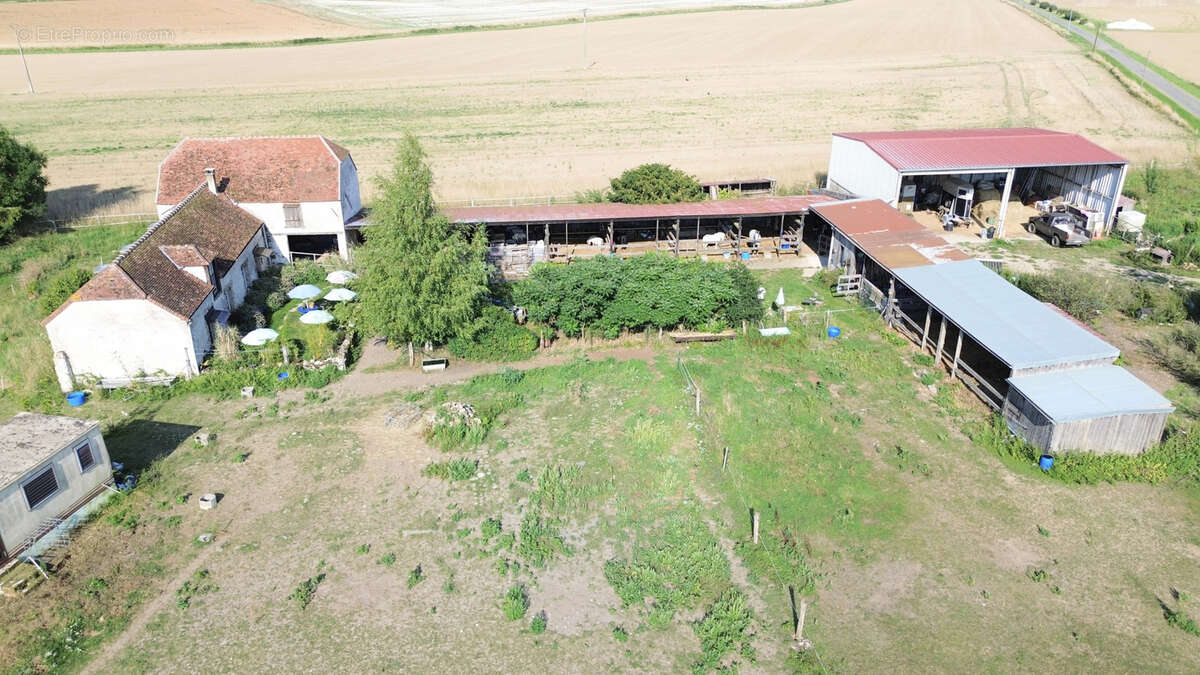 Maison à LA FERTE-GAUCHER