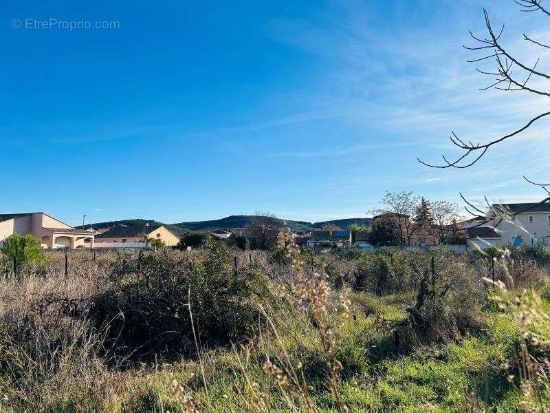 Terrain 386 m² à Balaruc-Le-Vieux  - photo 2