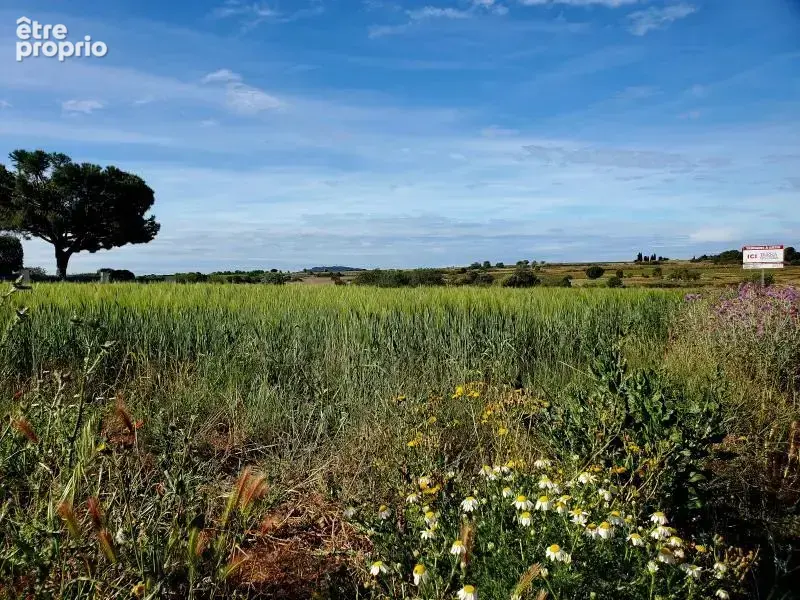 Terrain à MARSEILLAN